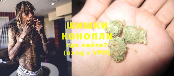 spice Богданович