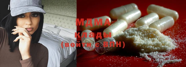 spice Богданович