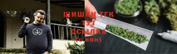 spice Богданович