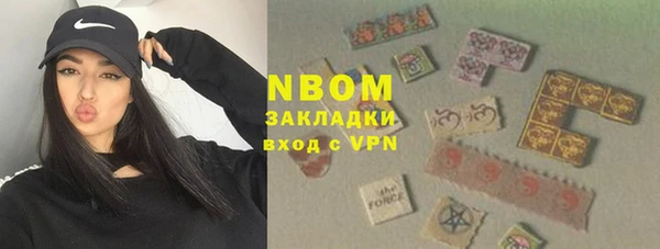 spice Богданович