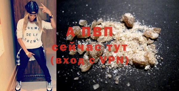 spice Богданович
