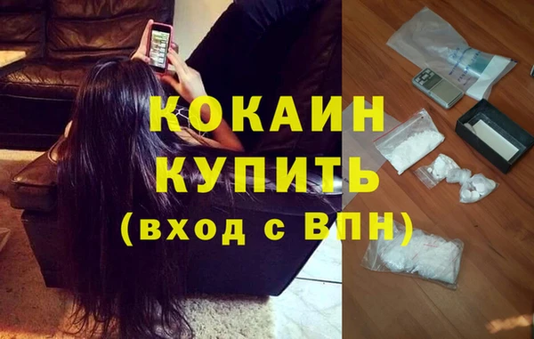 spice Богданович