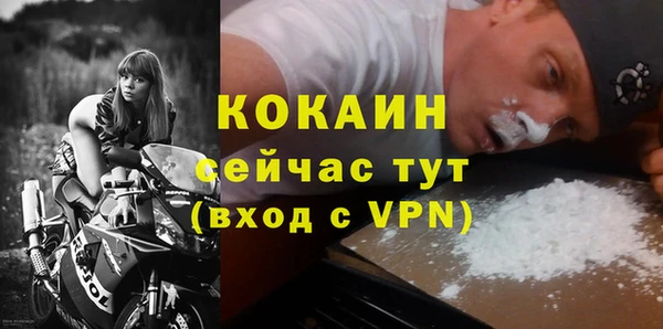 spice Богданович