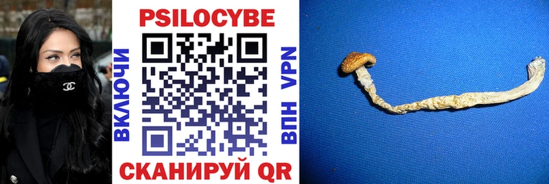 Купить где  Билибино  Галлюциногенные грибы MAGIC MUSHROOMS 